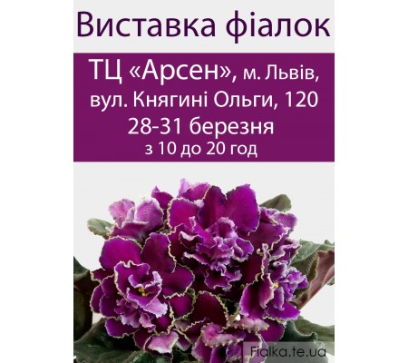 Виставка филалок в Львове 28-31 березня 2019 р Виставка филалок в Львове 28-31 березня 2019 р
